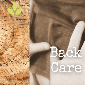 Back care session
