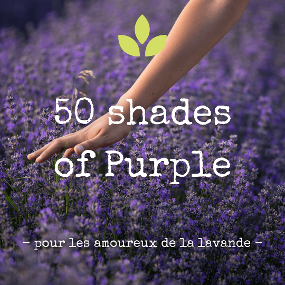 50 shades of purple