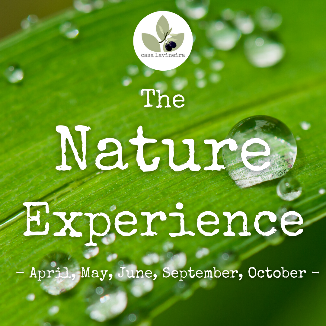 The Nature experience