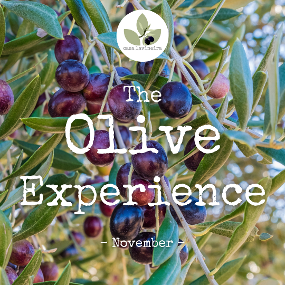 The olive experience